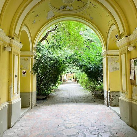 Coente Apartments Kiraly 28 ブダペスト エクステリア 写真